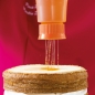 Preview: Dispenser with Perforated Cap 250ml